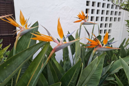 dae5d7c5ba466b6780109805bf2ad028 - 40