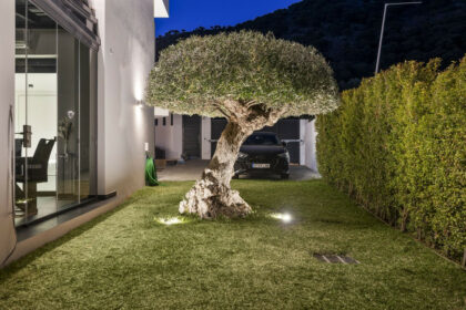 dc43a2dcbd4cfe84fd73d18ec0ac919c - 24