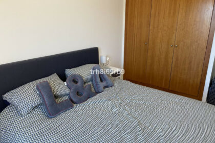 deec707f1a381ffdaee26ffb59f8d3f0 - 12