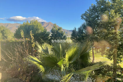 deec707f1a381ffdaee26ffb59f8d3f0 - 16