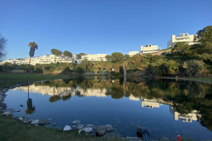 dff7ba935d6d403ad154d80433d30abc - 1