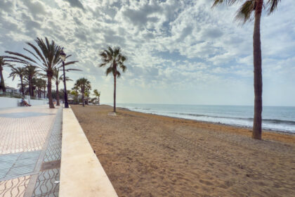 e7b0c9543755d8b72c48a09e1a8d0e01 - 31