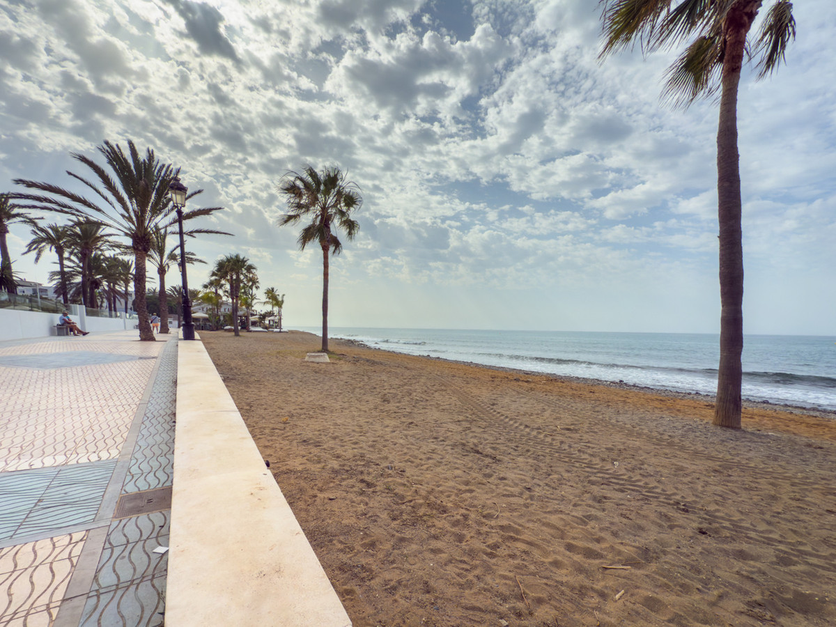 e7b0c9543755d8b72c48a09e1a8d0e01 - 31