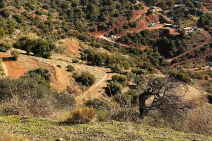 ea5004b4919d8c1140ca820919396bb6 - 6