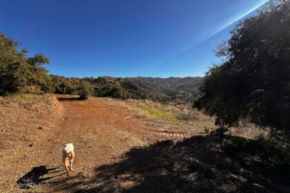 ea5004b4919d8c1140ca820919396bb6 - 8