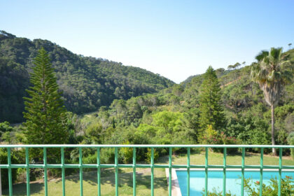 eb19e9ed1582f5aceeae9b1008b6d8e6 - 25