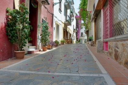 ee3455be0e34f6816cdce4132fe7ba88 - 14