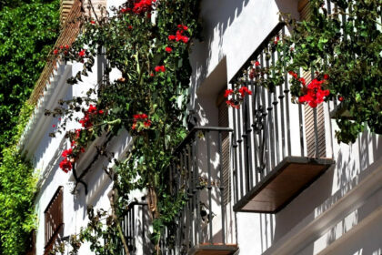 ee3455be0e34f6816cdce4132fe7ba88 - 5