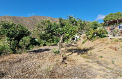 f25778ceac0a63ef008d6e15ae128fb8 - 12