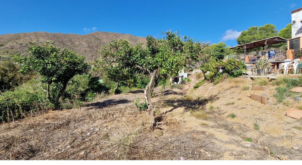 f25778ceac0a63ef008d6e15ae128fb8 - 12