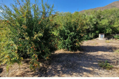 f25778ceac0a63ef008d6e15ae128fb8 - 7