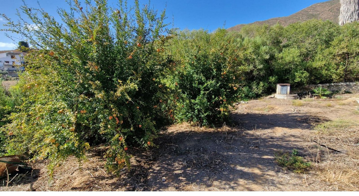 f25778ceac0a63ef008d6e15ae128fb8 - 7