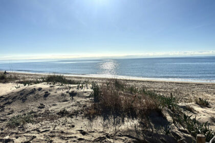 f41e44ceb2d374e726546362f7d5356e - 22