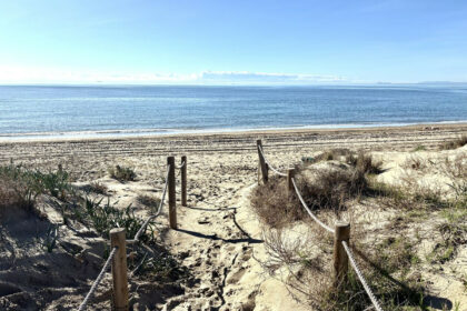 f41e44ceb2d374e726546362f7d5356e - 5