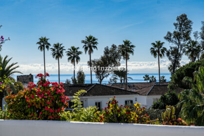 f9d80e8bc535e35f5856ba53185aa362 - 2