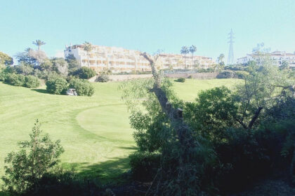 fb07a0d50aa3153c7a4954d7aac0ea16 - 24