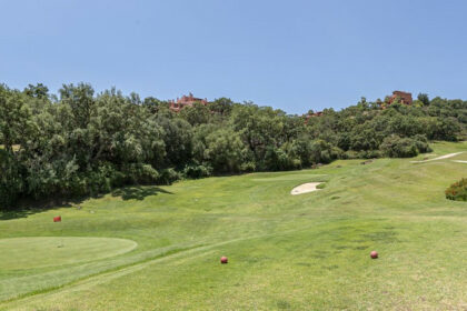 fb135c5fc53ca02c9c2db9eb6fb3d59f - 36