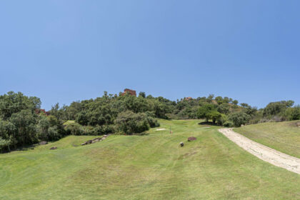 fb135c5fc53ca02c9c2db9eb6fb3d59f - 38