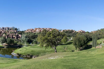 fb135c5fc53ca02c9c2db9eb6fb3d59f - 42