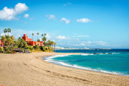 fc7524d8f601c162ba479e6976cb0f2d - 29