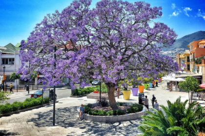 fc7524d8f601c162ba479e6976cb0f2d - 40