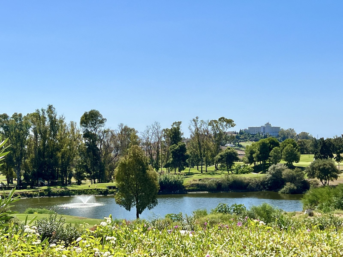 ff9117f8276c7238a8e57bc9383e5d2e - 20