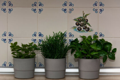 0064d251530b35bfe2cfb42d2a102159 - 13