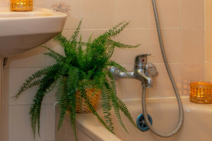 0064d251530b35bfe2cfb42d2a102159 - 28