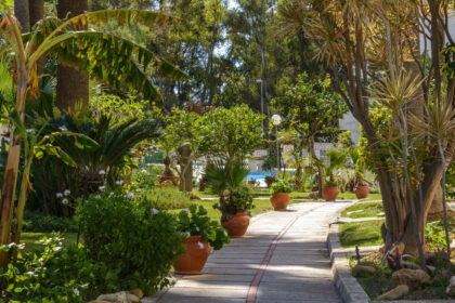 0064d251530b35bfe2cfb42d2a102159 - 3