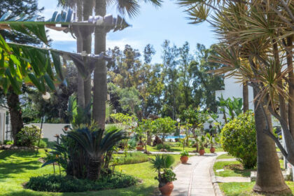 0064d251530b35bfe2cfb42d2a102159 - 44