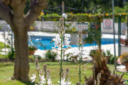 0064d251530b35bfe2cfb42d2a102159 - 45