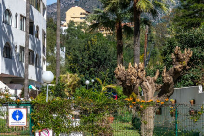 0064d251530b35bfe2cfb42d2a102159 - 46