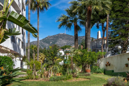 0064d251530b35bfe2cfb42d2a102159 - 47