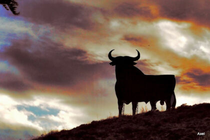 0064d251530b35bfe2cfb42d2a102159 - 50