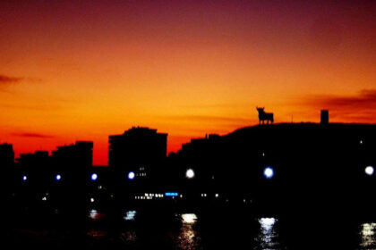 0064d251530b35bfe2cfb42d2a102159 - 51