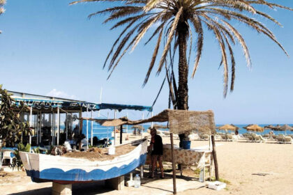 0064d251530b35bfe2cfb42d2a102159 - 52