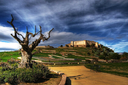 0064d251530b35bfe2cfb42d2a102159 - 55