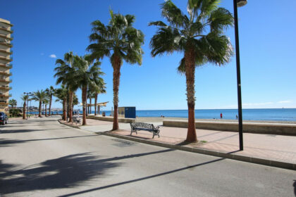 0064d251530b35bfe2cfb42d2a102159 - 57