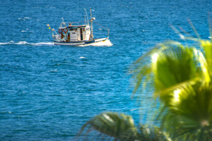 0064d251530b35bfe2cfb42d2a102159 - 61