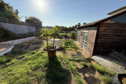 00bfbd591706a06a424f90420792cec8 - 4