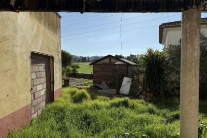 00bfbd591706a06a424f90420792cec8 - 6