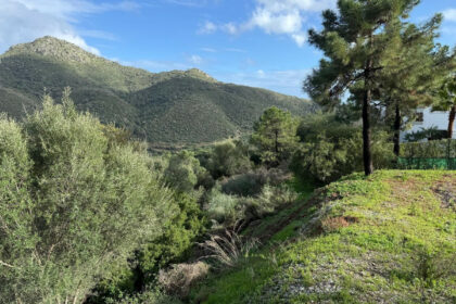 018ebcb1c885cad7004729fcced429e7 - 6