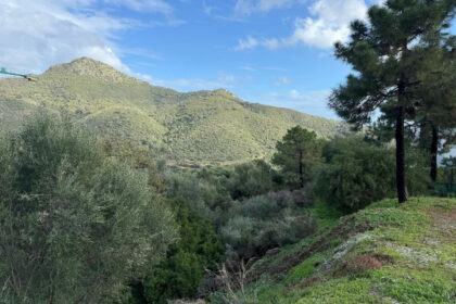 018ebcb1c885cad7004729fcced429e7 - 8