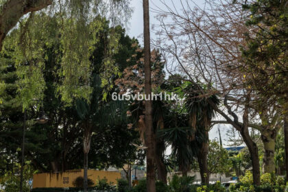 020de0996fe1b347c3c33fe98bb3e149 - 20