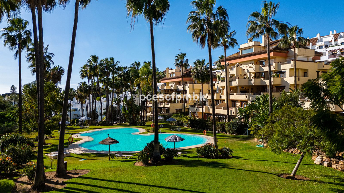 0221ddd03c6855f01957dd48c25dfdee - 25