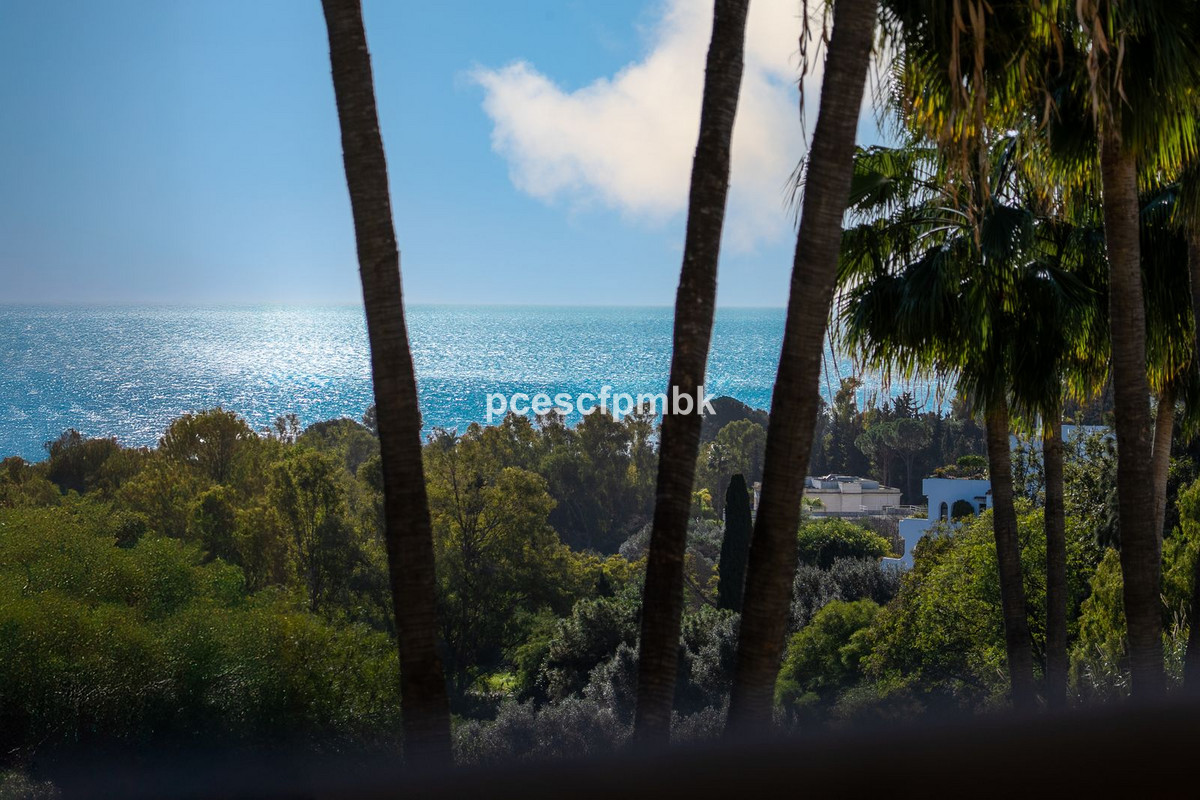 0221ddd03c6855f01957dd48c25dfdee - 29