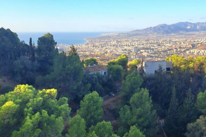 02cc430308820aec7e6836364f68ea7d - 25