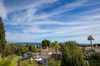 07cc73c077017100cf6dd1a40e663235 - 31