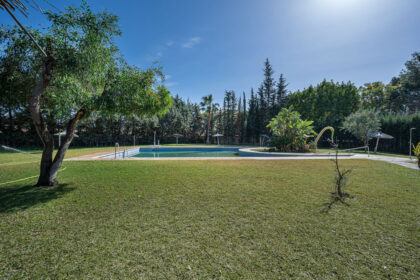 0abca8ed530aca9e9bd78cb3c52c8036 - 29