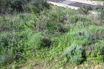 0f41ad4dbd04da874ce8985c185607ee - 4